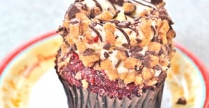 Cotton-Top Tamarin Cupcake - Animal Kingdom