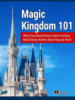 Magic Kingdom 101