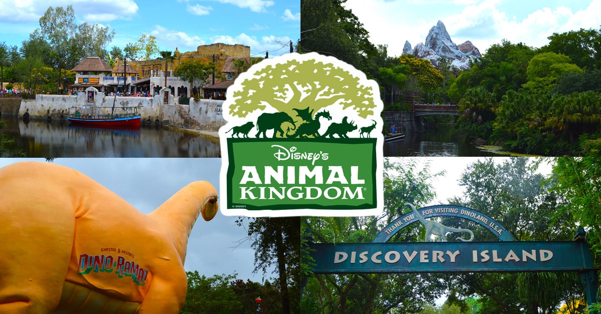 Animal Kingdom