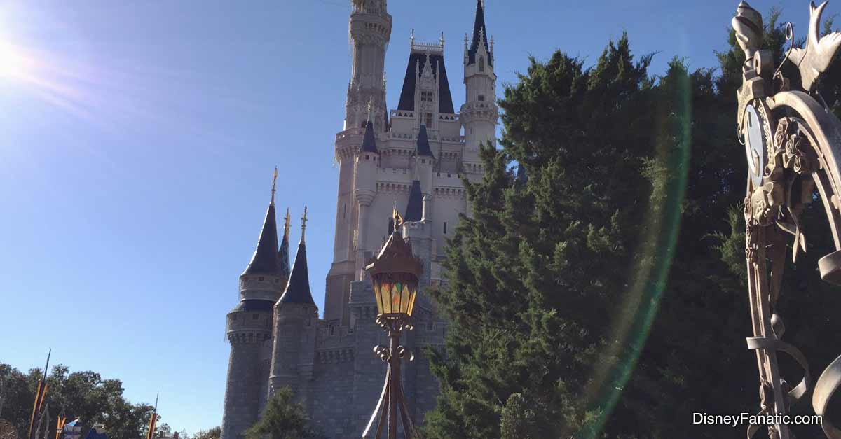 Cinderella Castle at Disney World sparkling under a clear blue sky, surrounded by lush trees—an iconic park centerpiece.