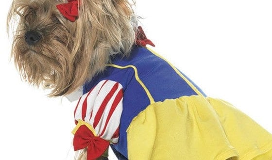 Which Disney Character Would Your Dog Be?