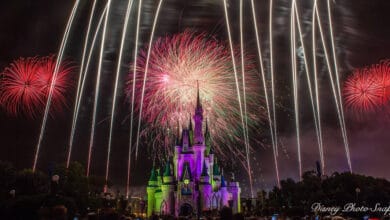 Disney Castle Fireworks