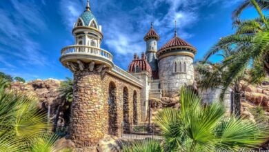 A stone bridge and ornate castle with rounded towers and red roofs, surrounded by palm trees and greenery under a bright blue sky with wispy clouds.