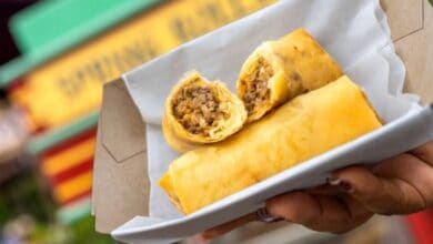 Cheeseburger spring rolls from Magic Kingdom