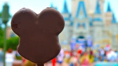 Mickey Bar Magic Kingdom