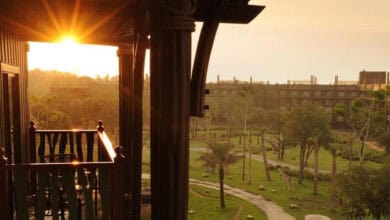 A sunlit balcony at Disney's Animal Kingdom Lodge overlooks a lush, green savanna with winding paths, grazing giraffes, and trees. Buildings appear in the distance under a warm, golden sky.