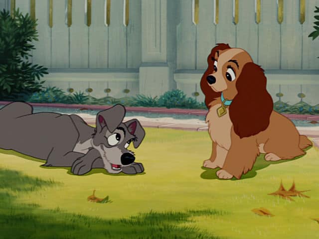 Lady and the Tramp