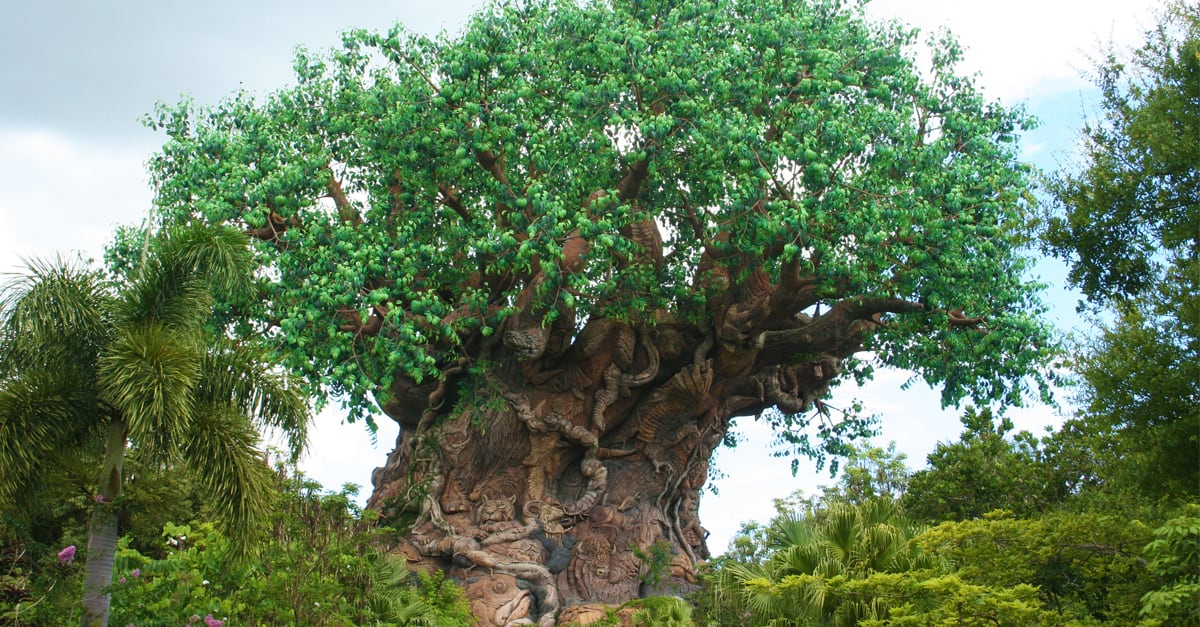 Tree of Life