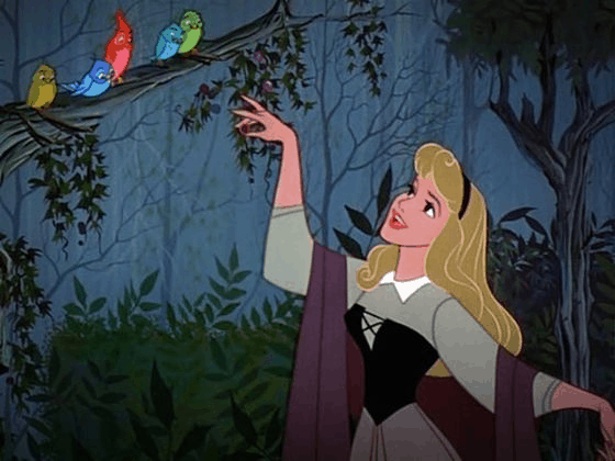 A Disney princess performs in an enchanting forest, singing to four colorful birds perched on a tree branch above her.
