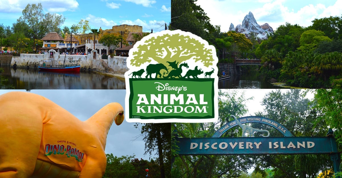 Animal Kingdom