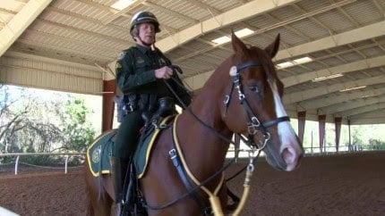 Mounted Patrol
