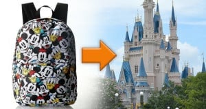 Disney Castle and Backpack