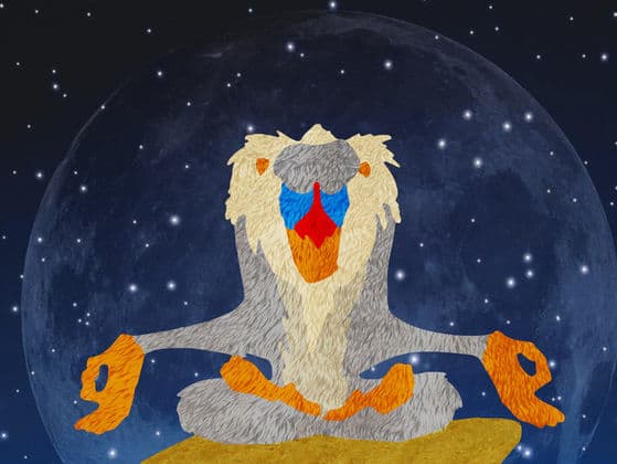 Rafiki from The Lion King peacefully meditates under a star-filled sky and glowing moon, evoking Disney magic.