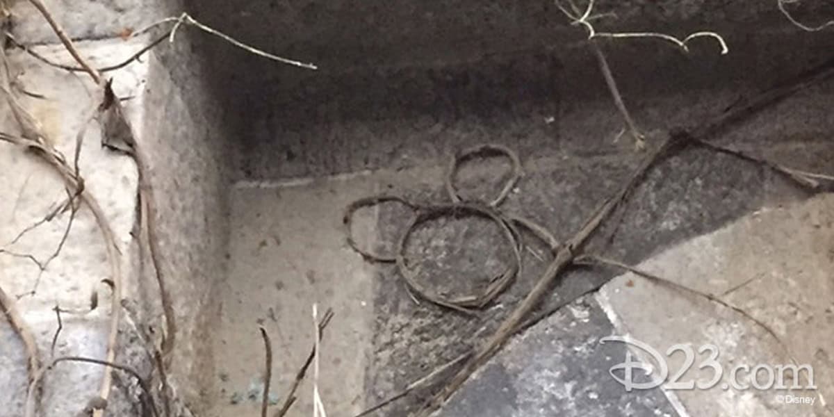 A hidden Mickey shape made from vines is pressed against a stone surface with some dry branches nearby, showcasing fascinating Hidden Mickey facts. The weathered stones create rich textures. The D23 and Disney logos appear in the bottom right corner.