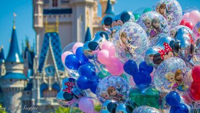 Disney Castle Balloons