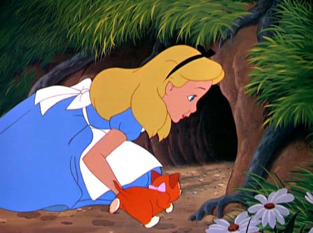 Alice and Wonderland