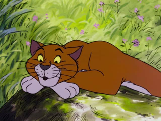 Cat from Aristocats