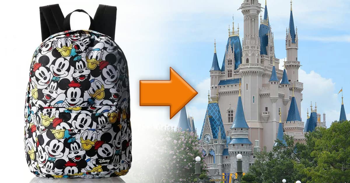 Cinderella's Castle and Backpack