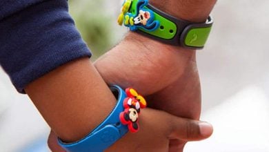 MagicBand