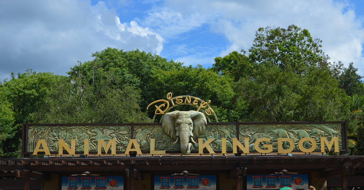 Animal Kingdom Sign