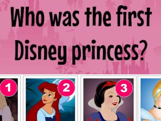 Disney Princesses