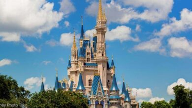 Walt Disney World Castle Daytime Distant