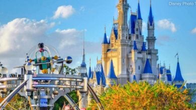 Disney Castle