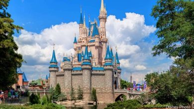 Disney Castle