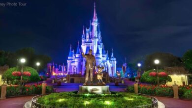 Disney Castle at Night