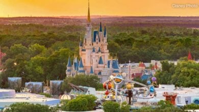 Magic Kingdom