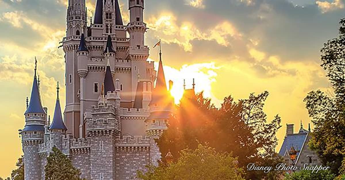 Cinderella's Castle