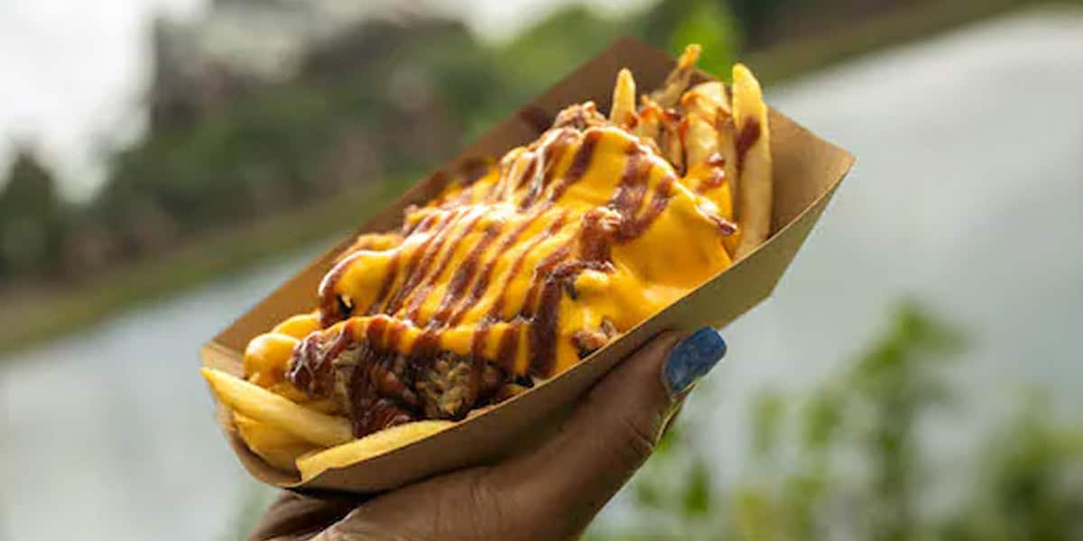 A hand holding a cardboard tray filled with French fries topped with melted cheese, shredded meat, and drizzled with barbecue sauce.