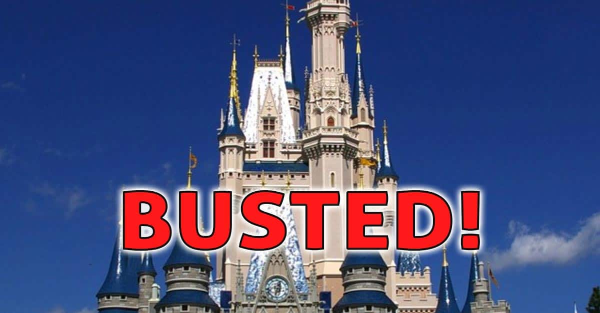 Castle Busted
