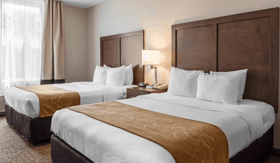 Comfort Suite-Room