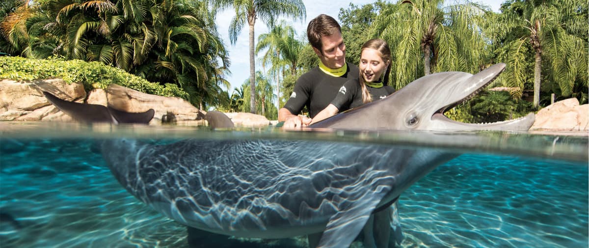 Discovery Cove