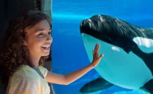 SeaWorld