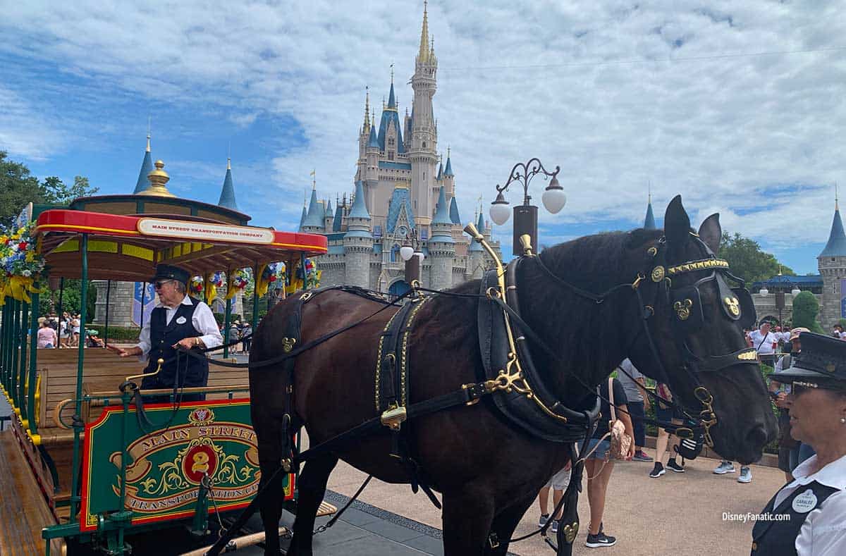 The trolley on Main Street USA at Magic Kingdom