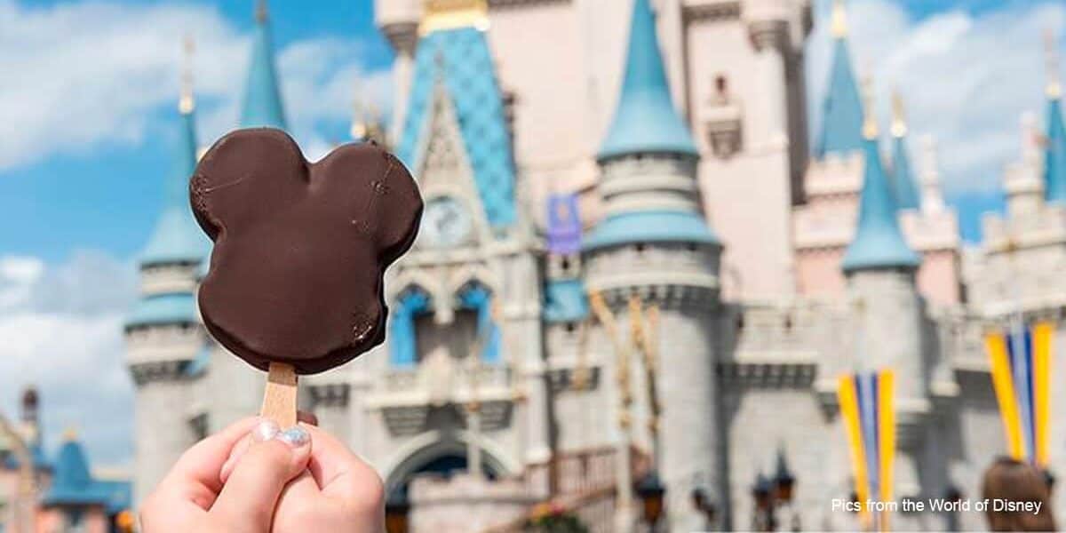 Castle Mickey Bar
