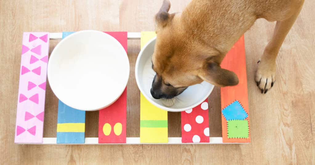 A brown dog enjoys a drink from a Mickey & Friends-striped bowl stand, bringing Disney magic with a playful, colorful flair.