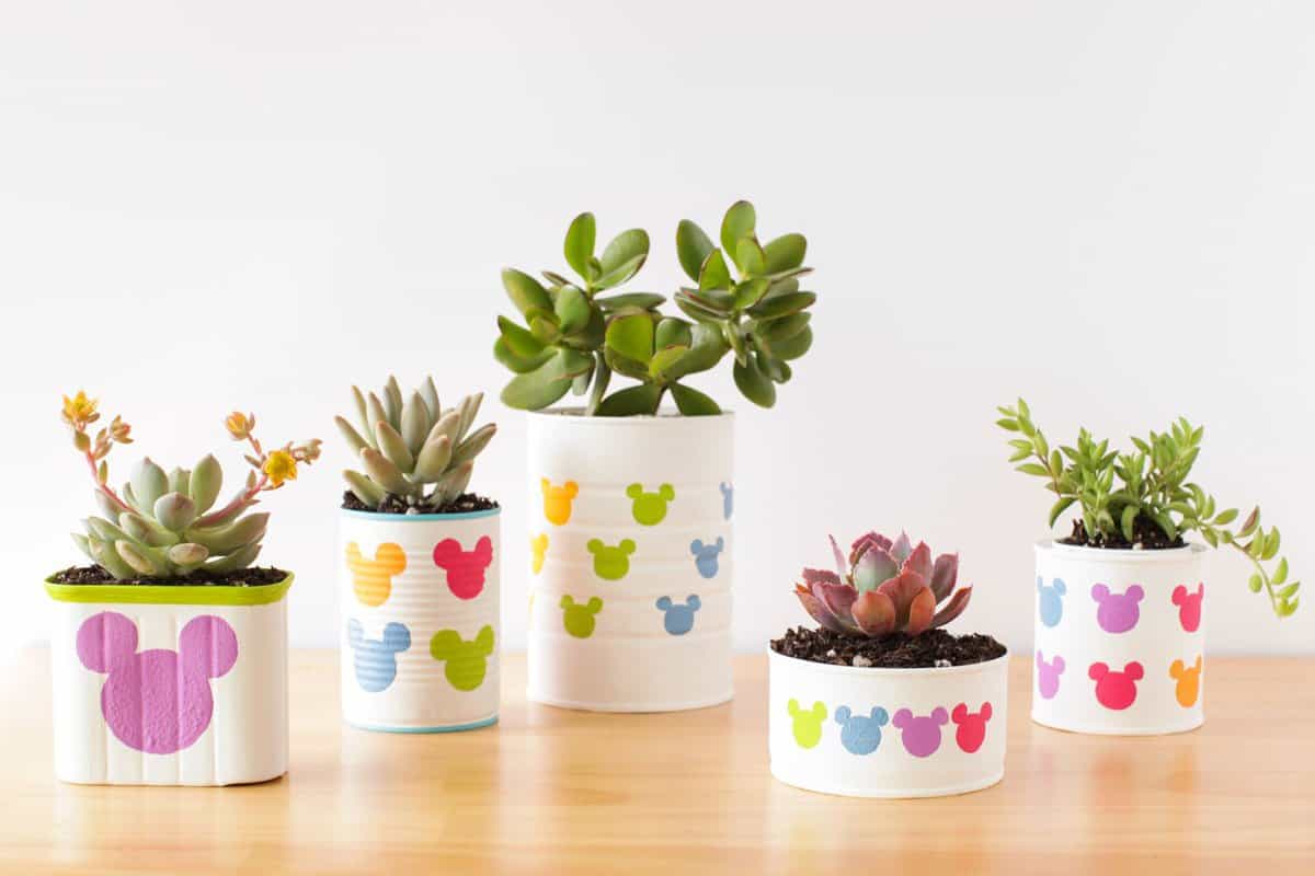 Five cheerful succulents in Mickey Mouse-inspired planters, featuring colorful Mickey silhouettes, bring Disney magic to a tabletop.
