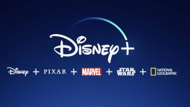 Disney+ logo and list of what it includes (Disney, Pixar, Marvel, Star Wars, and National Geographic)