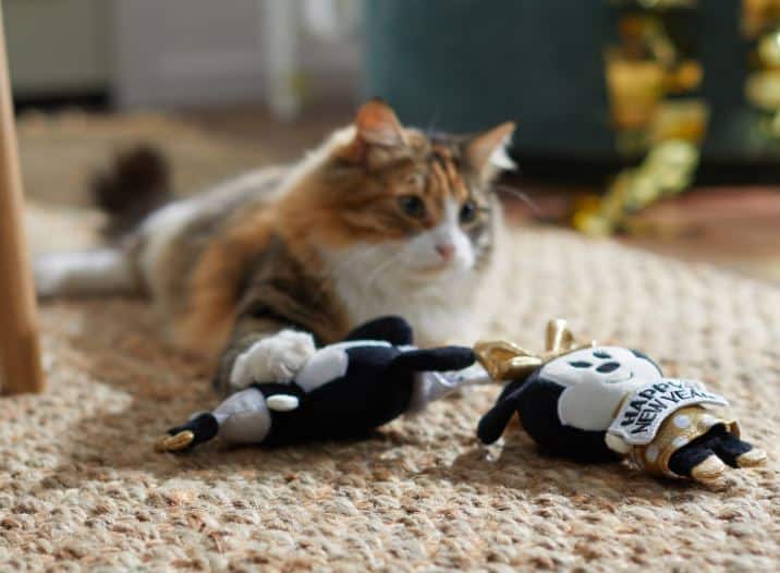Chewy Disney New Year's Pet Toys