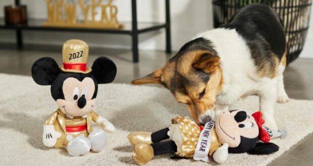 Chewy Disney New Year's Pet Toys