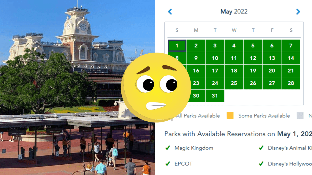 Disney Park Pass System