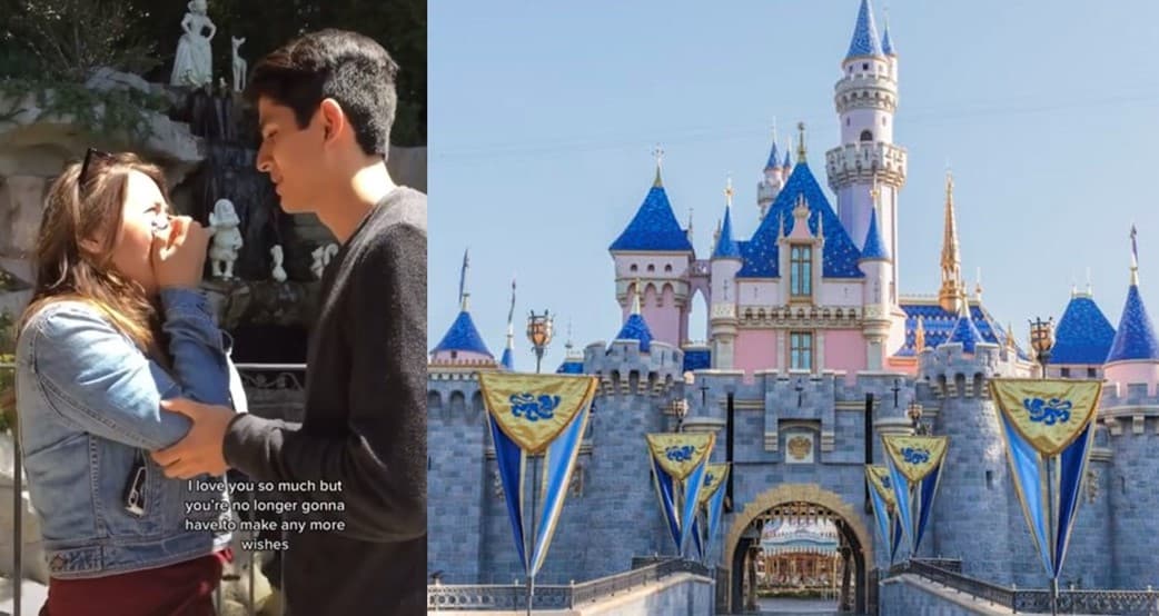 Disneyland proposal