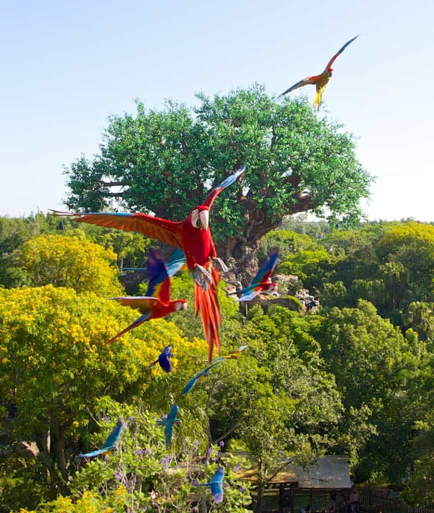 Vibrant parrots soar beside the iconic tree-shaped centerpiece in a lush Disney World setting, offering guests an enchanting bird-watching adventure just like discovering the magical Disney birds that make Animal Kingdom unforgettable.