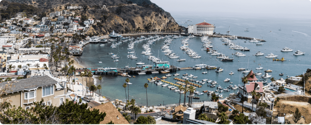 Catalina, Disney Cruise Line