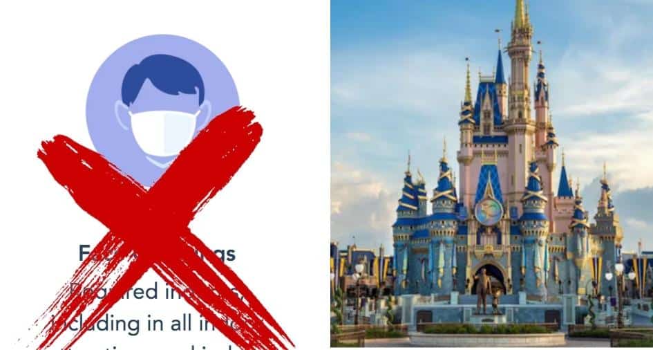 Disney World Masks