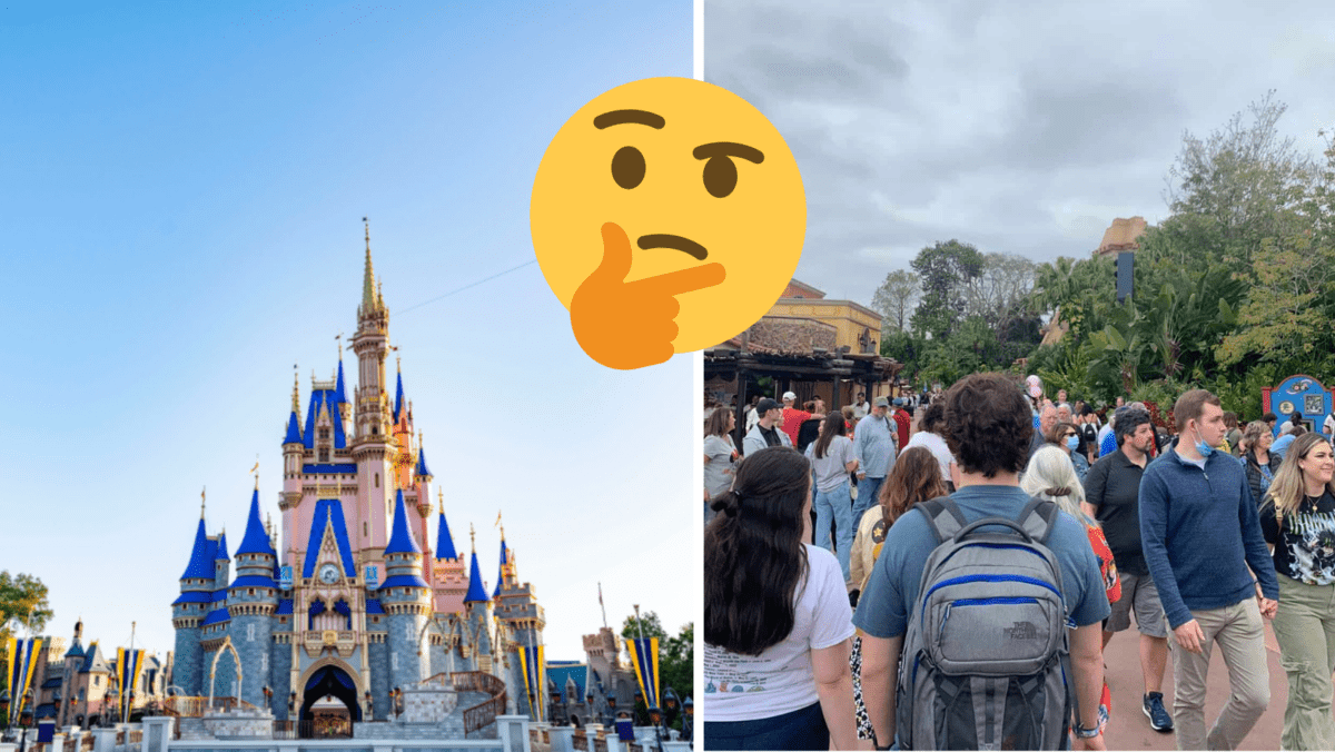 Walt Disney World Capacity