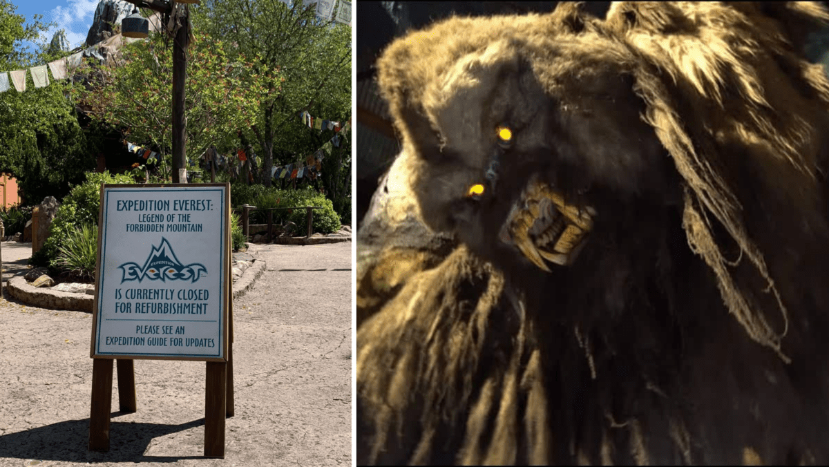 Expedition Everest
